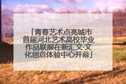 青春艺术点亮城市 首届河北艺术高校毕业作品联展在新汇文·文化创意体验中心开幕
