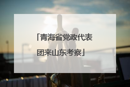 青海省党政代表团来山东考察