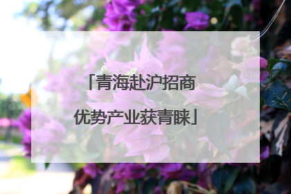 青海赴沪招商 优势产业获青睐