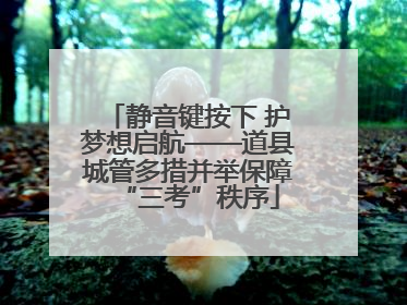 静音键按下 护梦想启航——道县城管多措并举保障“三考”秩序