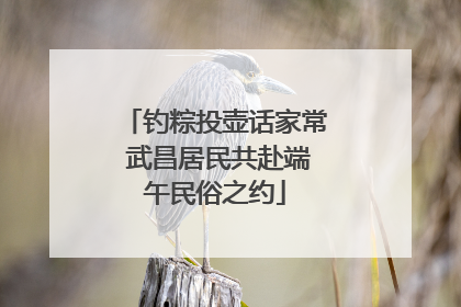 钓粽投壶话家常 武昌居民共赴端午民俗之约