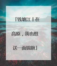 钱塘江丨在高原，我也想送一面锦旗