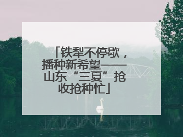 铁犁不停歇，播种新希望——山东“三夏”抢收抢种忙