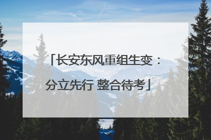 长安东风重组生变：分立先行 整合待考