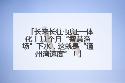 长来长往·见证一体化丨11个月“智慧渔场”下水，这就是“通州湾速度”！