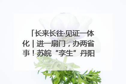 长来长往·见证一体化｜进一扇门，办两省事！苏皖“孪生”丹阳如何做到的？