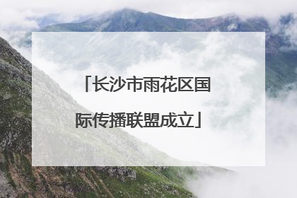 长沙市雨花区国际传播联盟成立