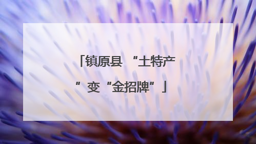 镇原县 “土特产”变“金招牌”