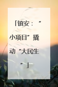 镇安：“小项目”撬动“大民生”