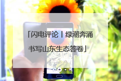 闪电评论丨绿潮奔涌 书写山东生态答卷