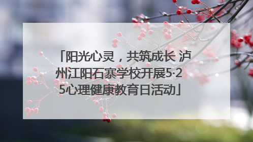 阳光心灵，共筑成长 泸州江阳石寨学校开展5·25心理健康教育日活动