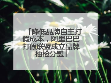 降低品牌自主打假成本，阿里巴巴打假联盟成立品牌抽检分盟
