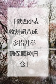 陕西小麦收割超八成 多措并举确保颗粒归仓