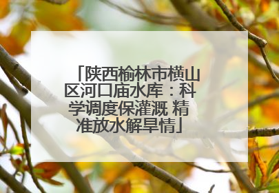 陕西榆林市横山区河口庙水库：科学调度保灌溉 精准放水解旱情