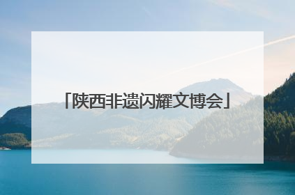 陕西非遗闪耀文博会