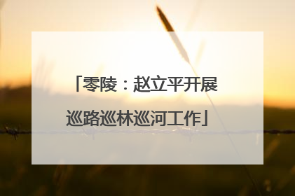 零陵：赵立平开展巡路巡林巡河工作