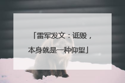 雷军发文：诋毁，本身就是一种仰望