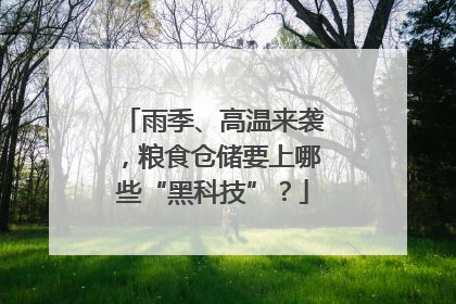雨季、高温来袭，粮食仓储要上哪些“黑科技”？