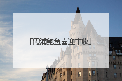 霞浦鲍鱼喜迎丰收