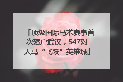 顶级国际马术赛事首次落户武汉，547对人马“飞跃”英雄城