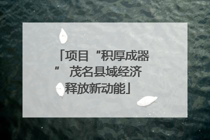项目“积厚成器” 茂名县域经济释放新动能