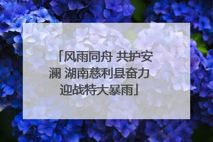 风雨同舟 共护安澜 湖南慈利县奋力迎战特大暴雨