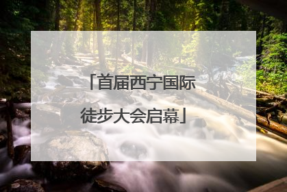 首届西宁国际徒步大会启幕