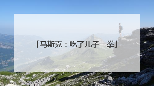 马斯克：吃了儿子一拳