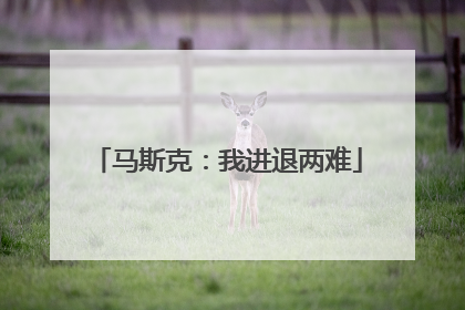马斯克：我进退两难