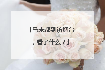 马未都到访烟台，看了什么？