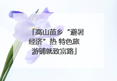 高山苗乡“避暑经济”热 特色旅游铺就致富路