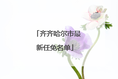 齐齐哈尔市最新任免名单