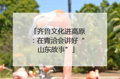 齐鲁文化进高原：在青洽会讲好“山东故事”