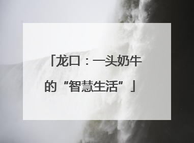 龙口：一头奶牛的“智慧生活”
