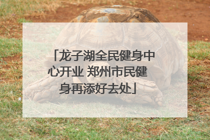 龙子湖全民健身中心开业 郑州市民健身再添好去处