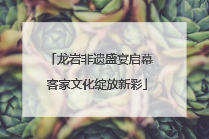 龙岩非遗盛宴启幕 客家文化绽放新彩
