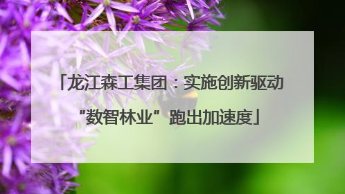 龙江森工集团：实施创新驱动 “数智林业”跑出加速度