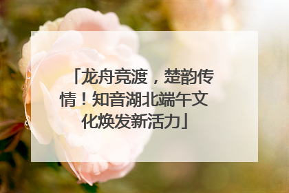 龙舟竞渡，楚韵传情！知音湖北端午文化焕发新活力