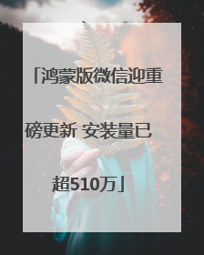 鸿蒙版微信迎重磅更新 安装量已超510万