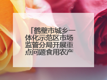 鹤壁市城乡一体化示范区市场监管分局开展重点问题食用农产品专项整治