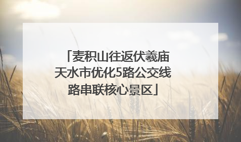 麦积山往返伏羲庙 天水市优化5路公交线路串联核心景区