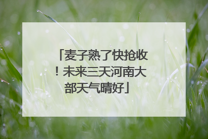 麦子熟了快抢收！未来三天河南大部天气晴好