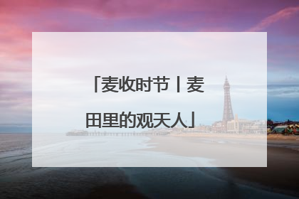 麦收时节丨麦田里的观天人