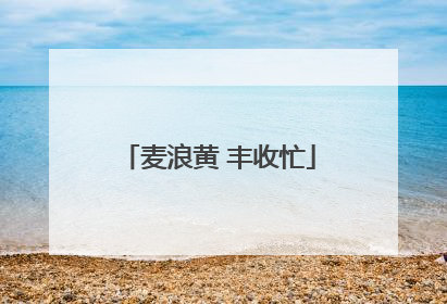 麦浪黄 丰收忙