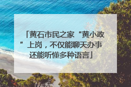 黄石市民之家“黄小政”上岗，不仅能聊天办事还能听懂多种语言