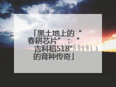 黑土地上的“春耕芯片”：“吉科稻518”的育种传奇