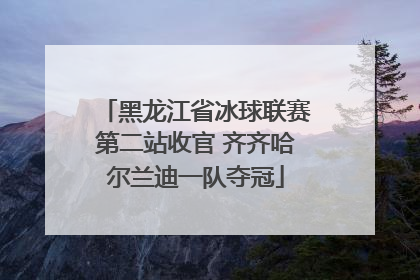 黑龙江省冰球联赛第二站收官 齐齐哈尔兰迪一队夺冠