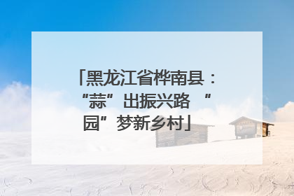 黑龙江省桦南县：“蒜”出振兴路 “园”梦新乡村
