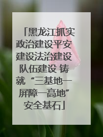 黑龙江抓实政治建设平安建设法治建设队伍建设 铸就“三基地一屏障一高地”安全基石