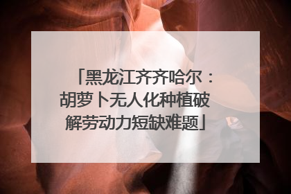 黑龙江齐齐哈尔：胡萝卜无人化种植破解劳动力短缺难题